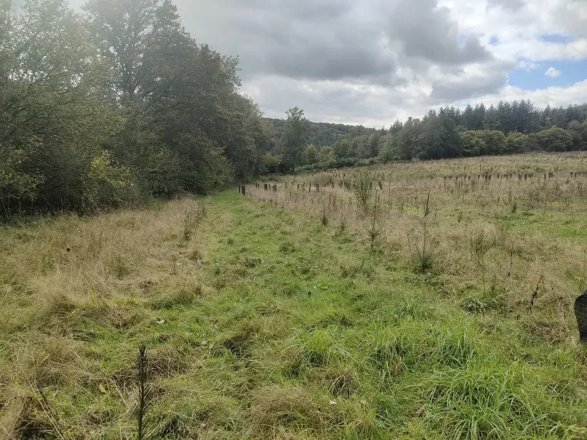 Parcelle du projet « Le bois de la Grande Vallée »