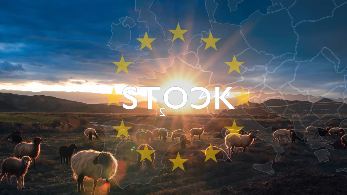 Agriculture : comprendre la Politique agricole commune (PAC)