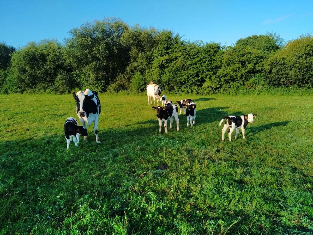 Qu’est ce que la méthode Carbon Agri ?