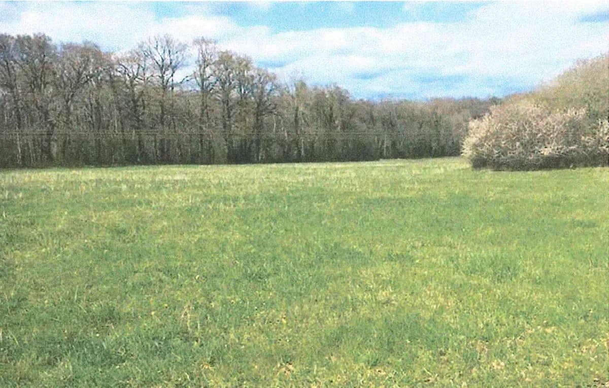 le bois de la roquette — photo 1
