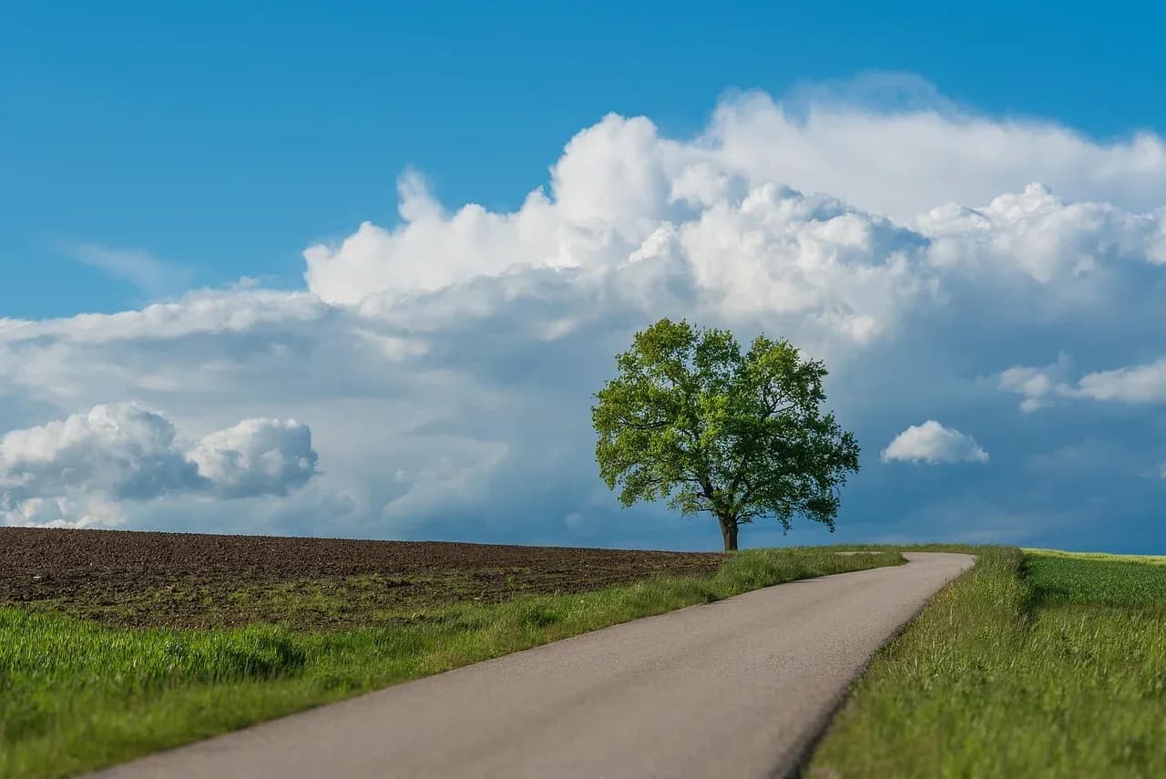 les vertes collines de la source 183 007 — photo 1