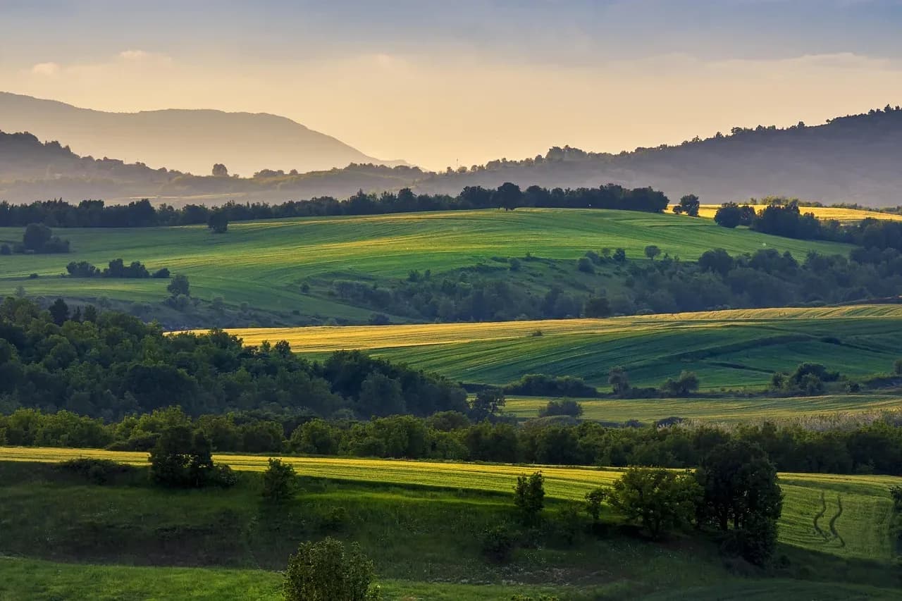 les terres vivantes du tilleul — photo 1