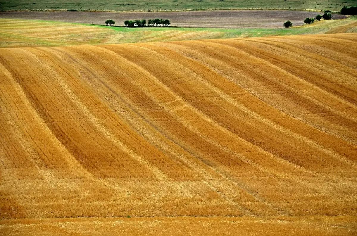 les terres nouvelles du val — photo 1