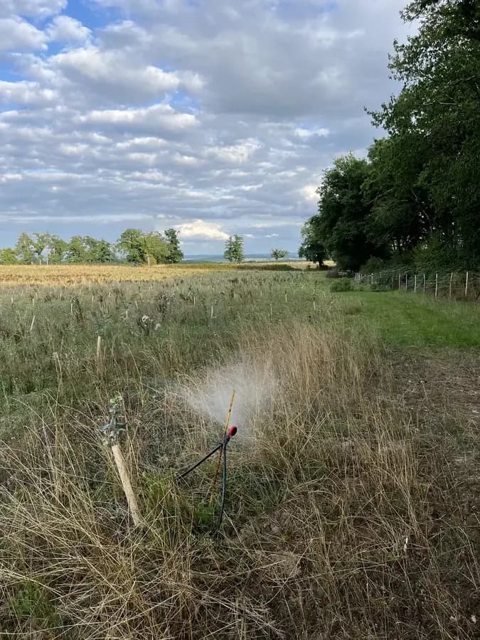 vergers des trois fonds phase 1 — photo 1