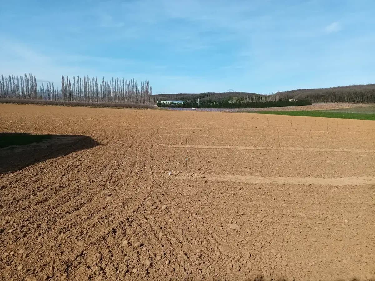 les vergers de chateauneuf n 2 — photo 1