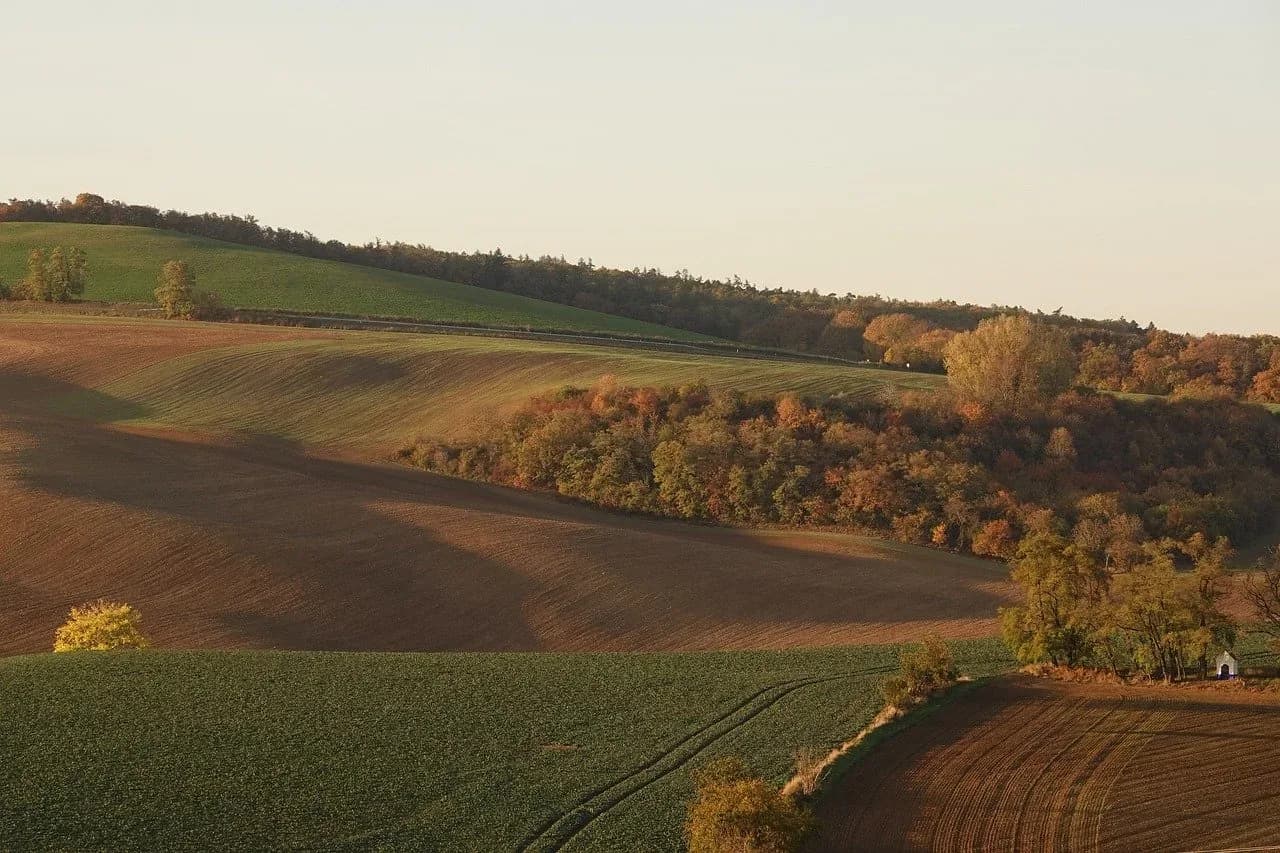 les vallons de la futaie 241 008 — photo 1