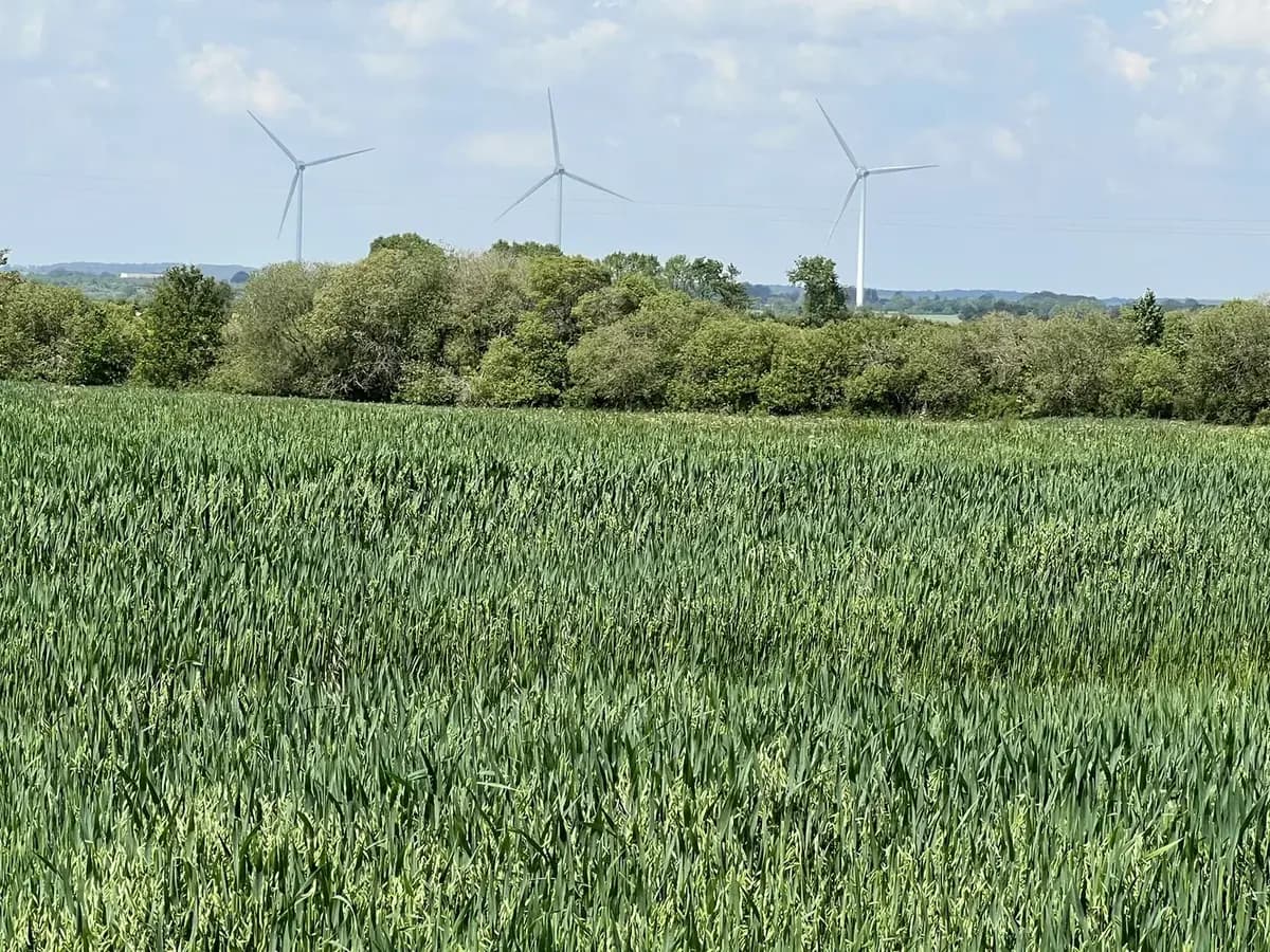 le bois du breuil — photo 1
