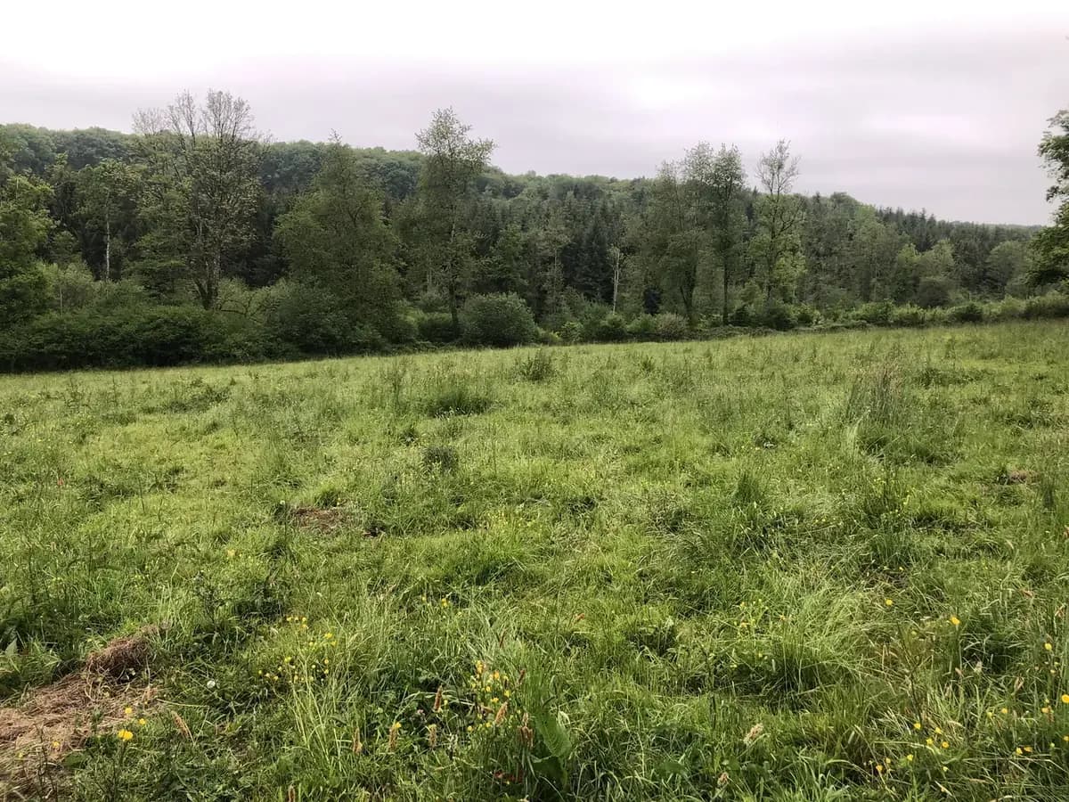 le bois du livet — photo 1