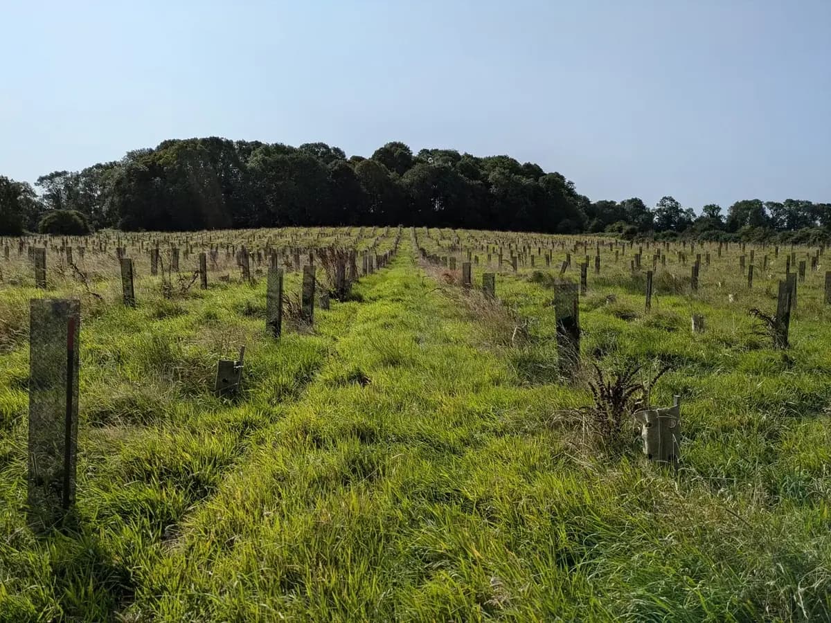 le bois des quatre rivieres — photo 1