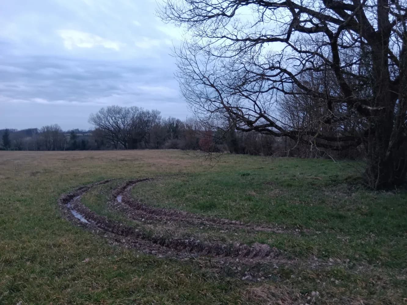 le bois de jolines — photo 1