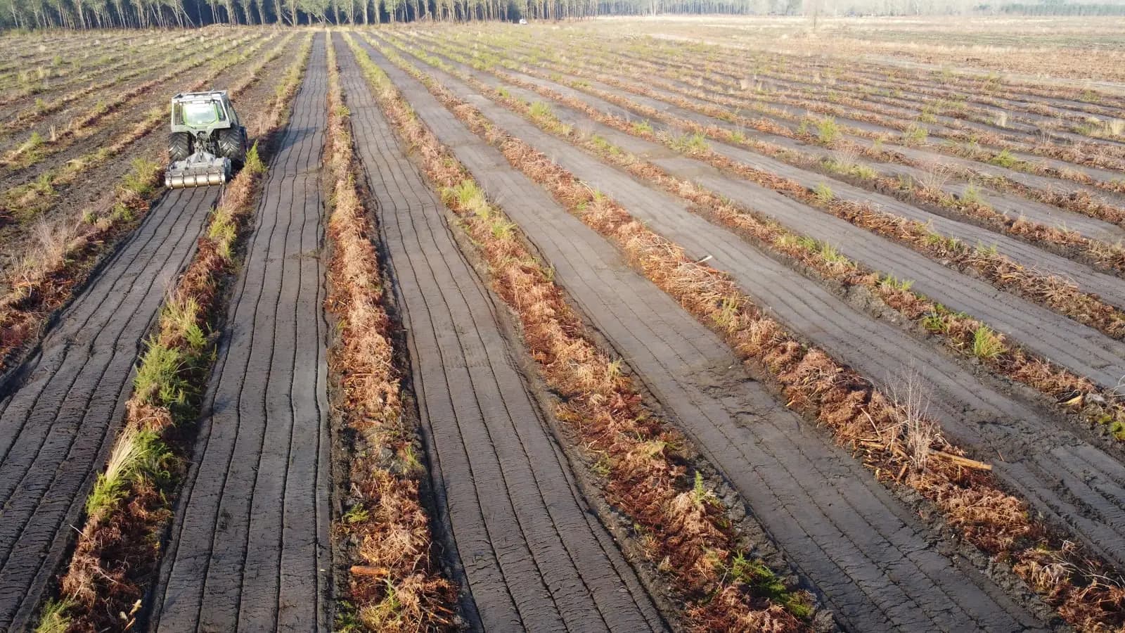 Le bois de la Lanne : travail du sol en lignes pour le reboisement, vue de drone, février 2025