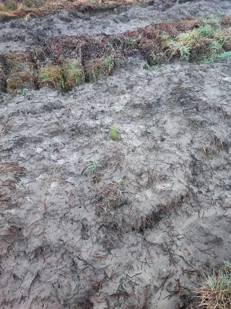 Le bois de Saturnin, photo 2 du projet