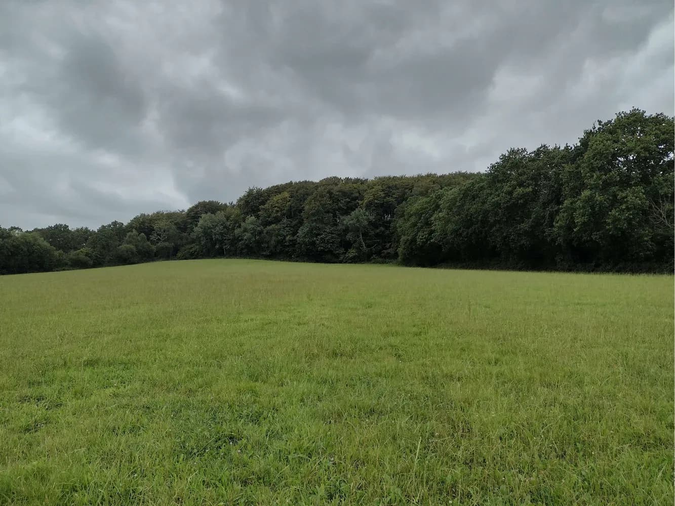 le bois de la sainterie — photo 1