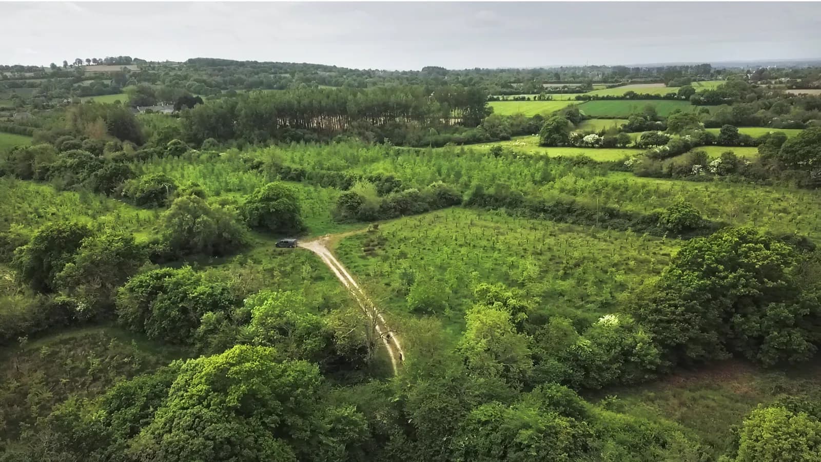 Paysage de bocage et de jeunes boisements vu du ciel
