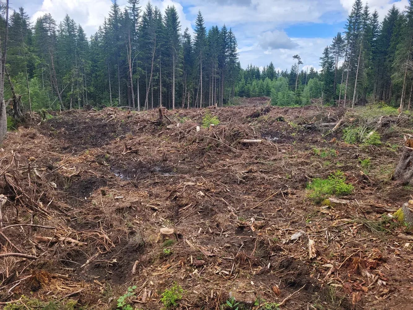 Parcelle du projet « Le bois de la Garde »