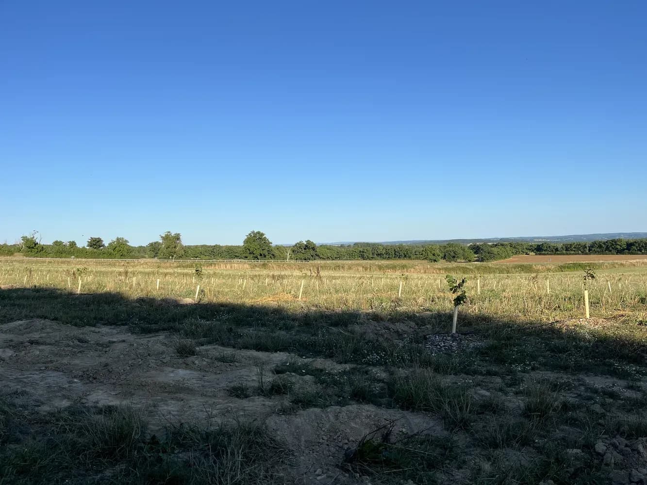 Parcelle du projet « Vergers des Trois-Fonds phase 1 »