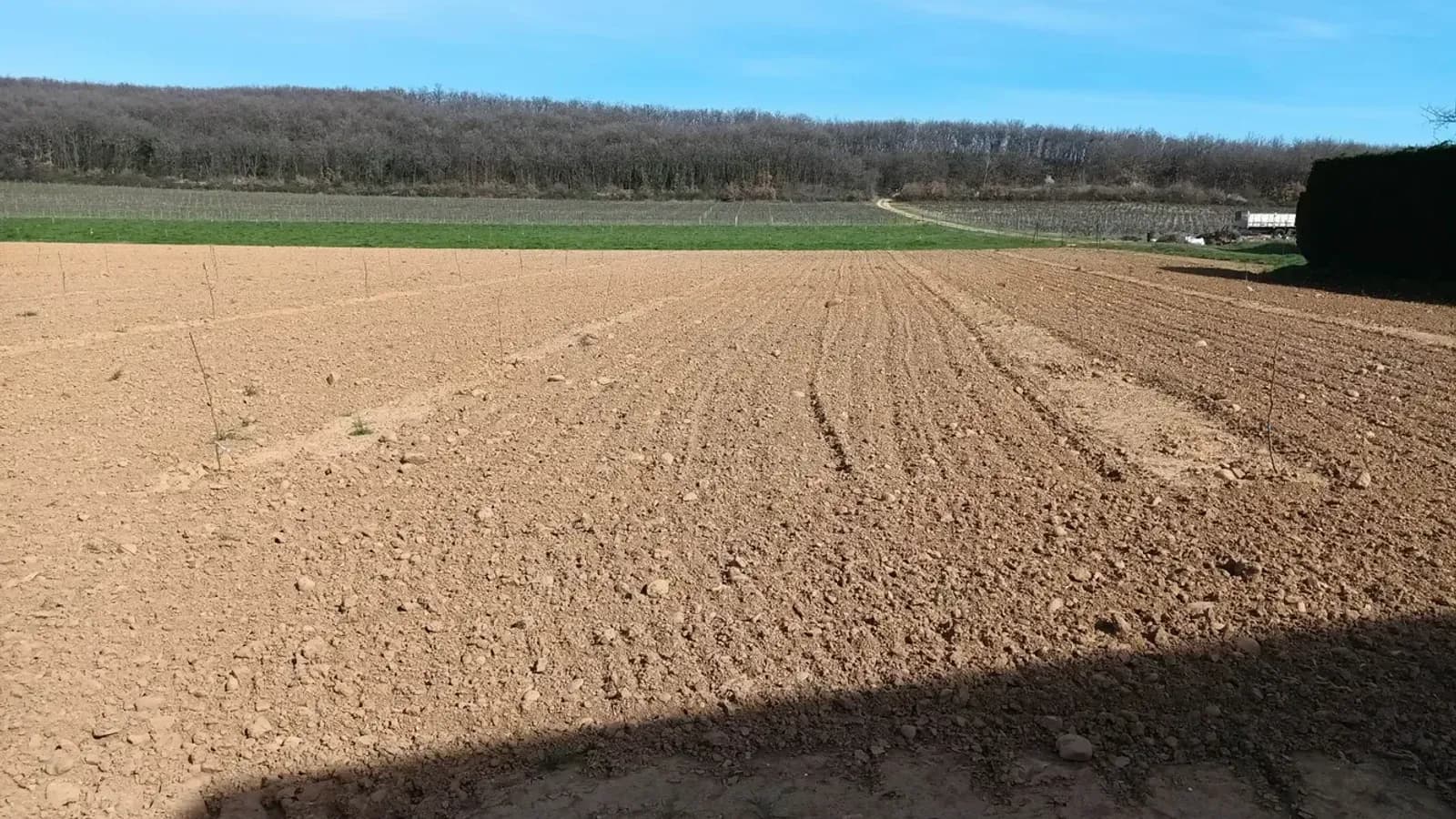 Compensation carbone dans l'agroalimentaire : agir dans sa propre filière
