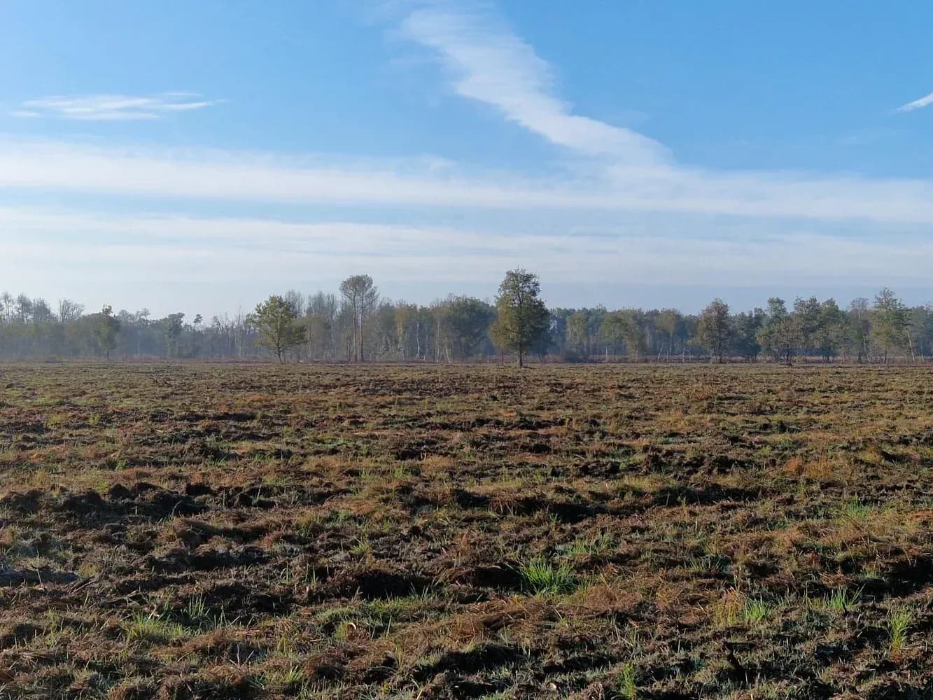 Parcelle du projet « Le bois du Boscq / Hicot »
