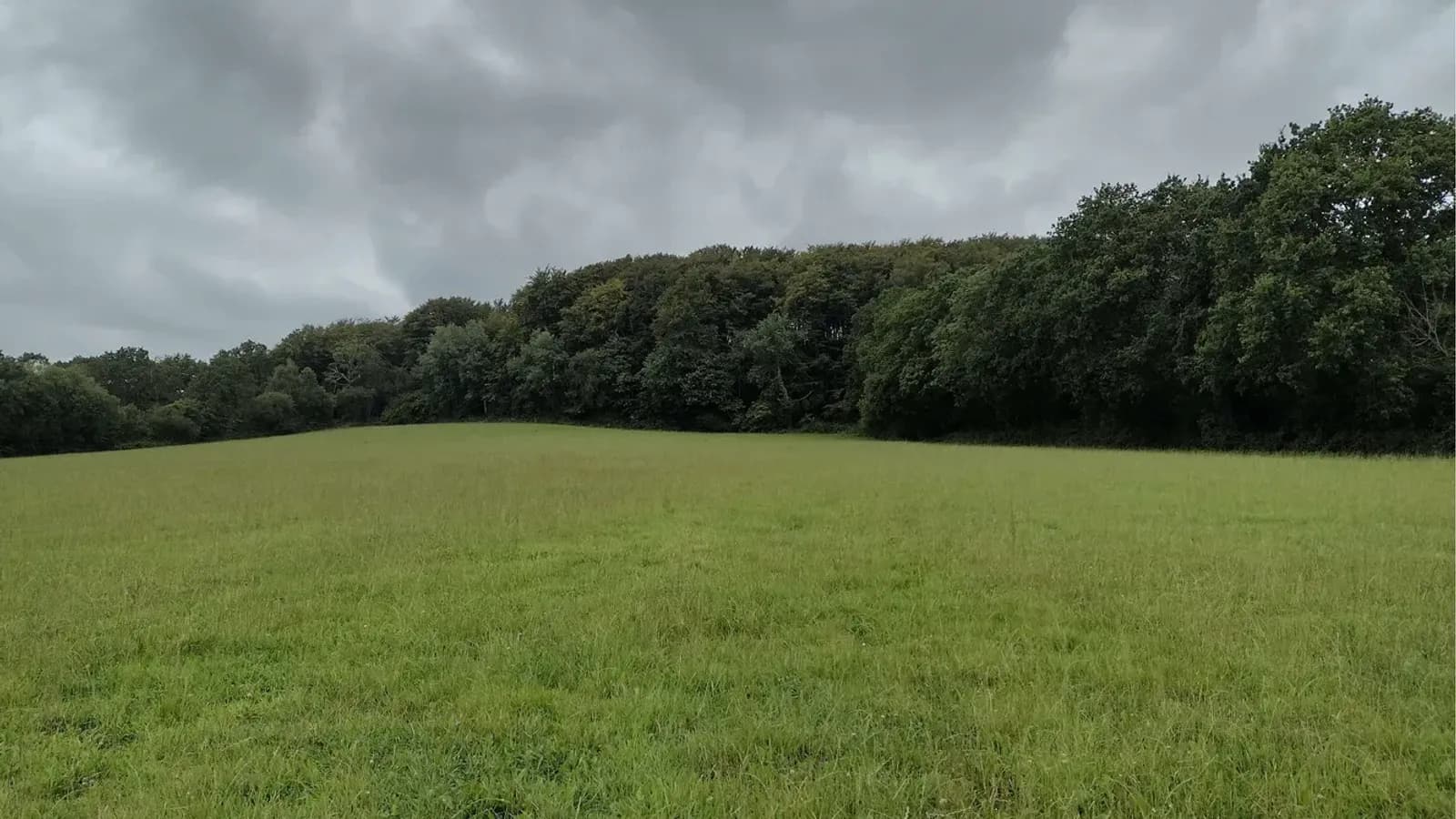 Compensation carbone en Bourgogne-Franche-Comté : les projets Label Bas-Carbone de la région
