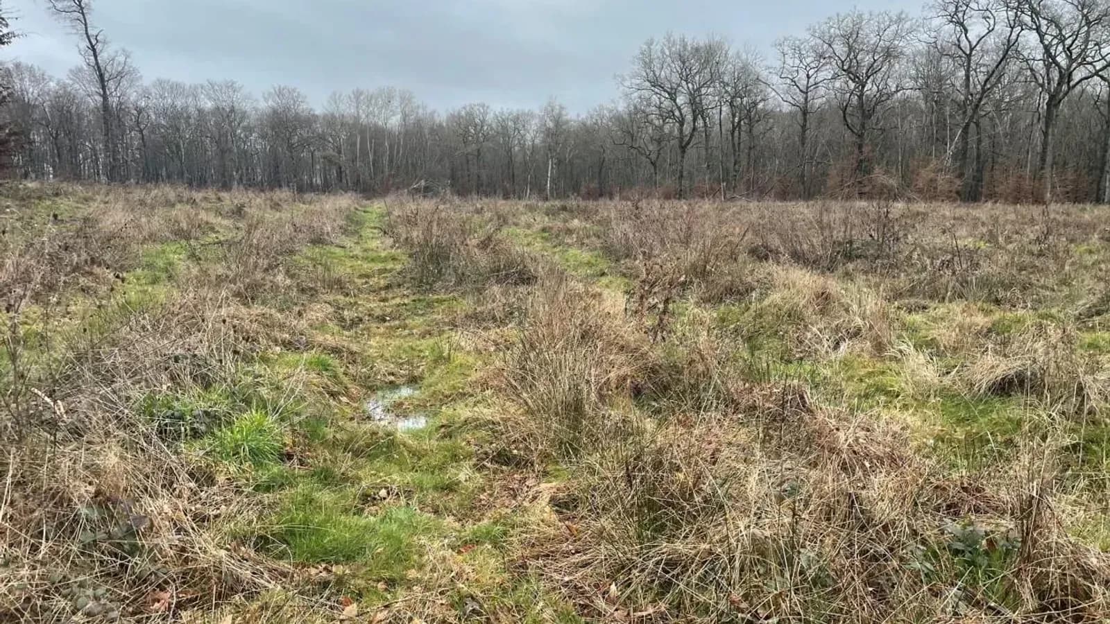 Parcelle du projet « Le bois de Rosemont »