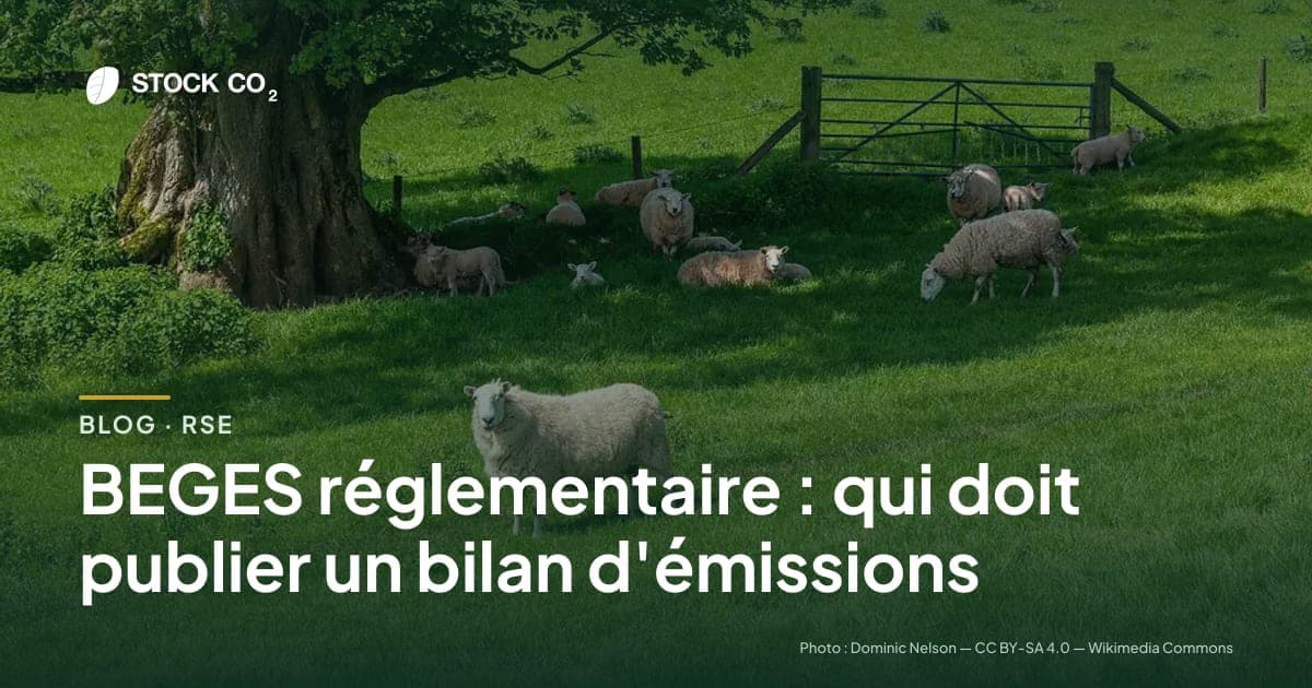 BEGES réglementaire : qui doit publier un bilan d'émissions