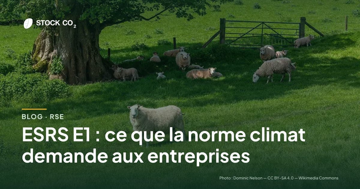ESRS E1 : ce que la norme climat demande aux entreprises