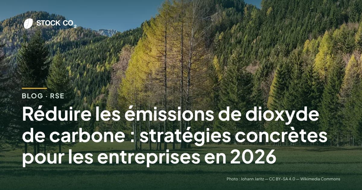 Réduire les émissions de dioxyde de carbone : stratégies concrètes pour les entreprises en 2026