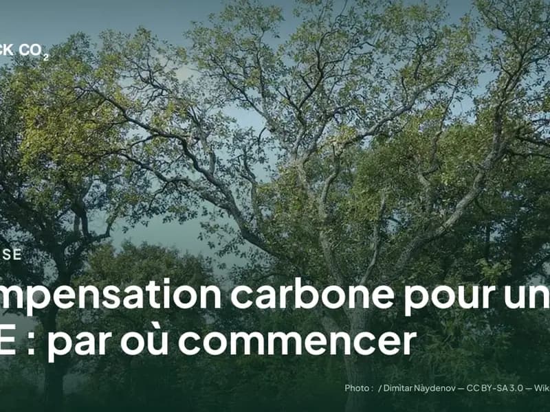 Compensation carbone pour une PME : par où commencer