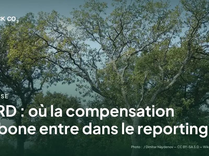 CSRD : où la compensation carbone entre dans le reporting