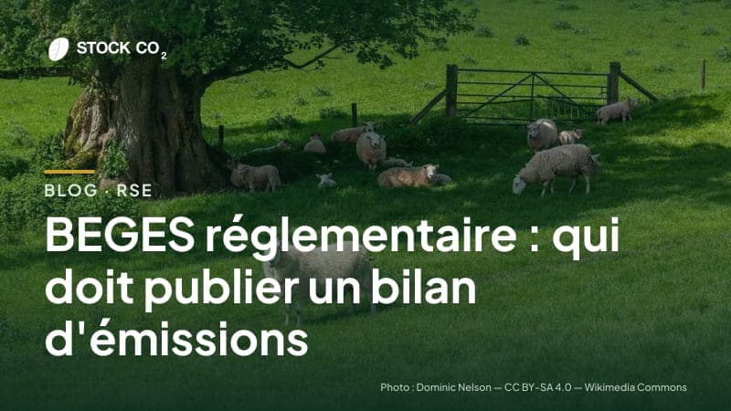 BEGES réglementaire : qui doit publier un bilan d'émissions