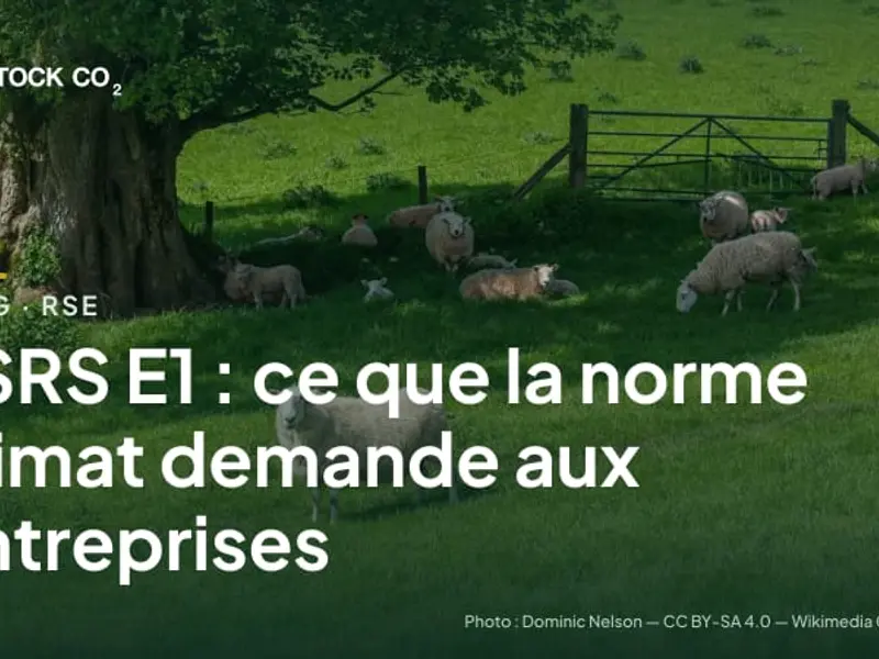 ESRS E1 : ce que la norme climat demande aux entreprises