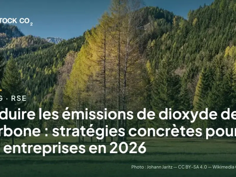 Réduire les émissions de dioxyde de carbone : stratégies concrètes pour les entreprises en 2026