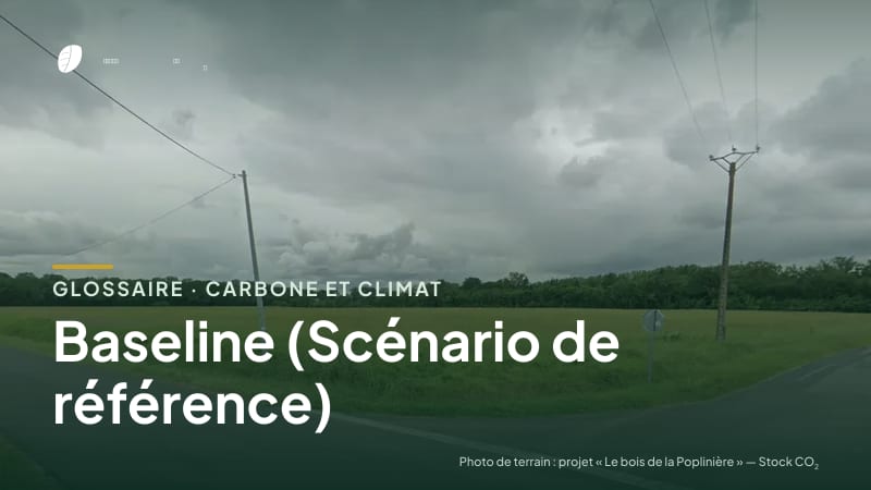 Illustration de la famille « Carbone et climat » du glossaire Stock CO₂, sur une photo de terrain : parcelle du projet « Le bois de la Poplinière »