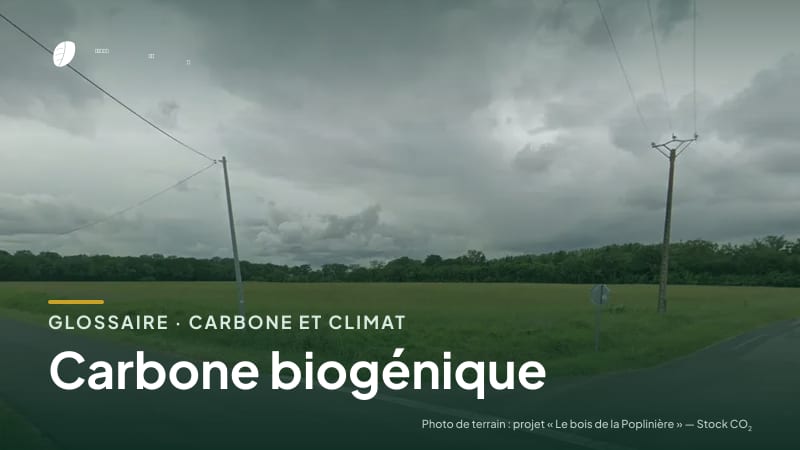 Illustration de la famille « Carbone et climat » du glossaire Stock CO₂, sur une photo de terrain : parcelle du projet « Le bois de la Poplinière »