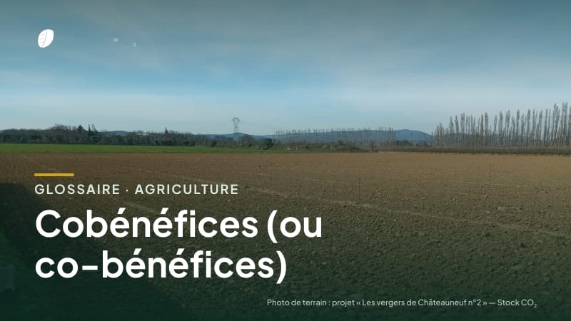 Illustration de la famille « Agriculture » du glossaire Stock CO₂, sur une photo de terrain : parcelle du projet « Les vergers de Châteauneuf n°2 »