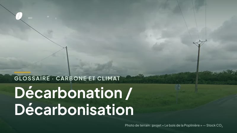 Illustration de la famille « Carbone et climat » du glossaire Stock CO₂, sur une photo de terrain : parcelle du projet « Le bois de la Poplinière »