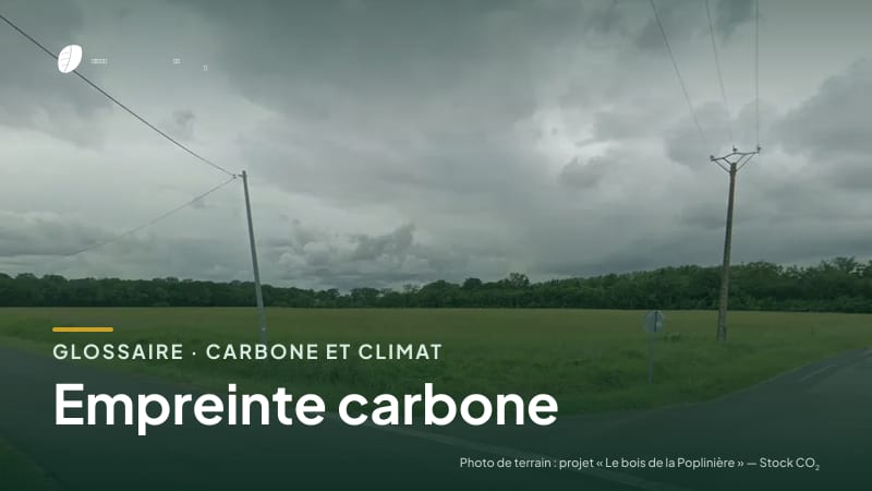 Illustration de la famille « Carbone et climat » du glossaire Stock CO₂, sur une photo de terrain : parcelle du projet « Le bois de la Poplinière »