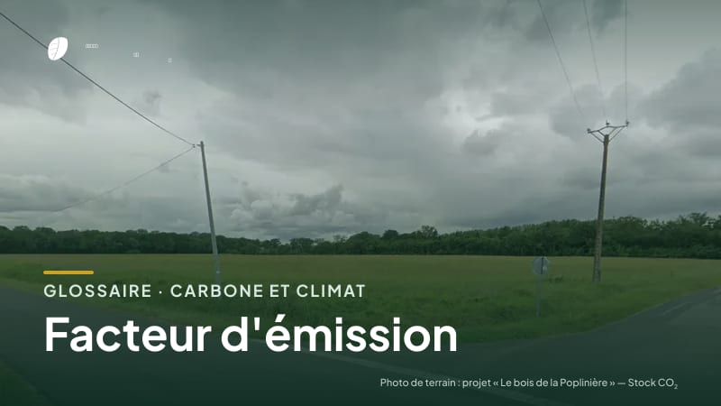 Illustration de la famille « Carbone et climat » du glossaire Stock CO₂, sur une photo de terrain : parcelle du projet « Le bois de la Poplinière »