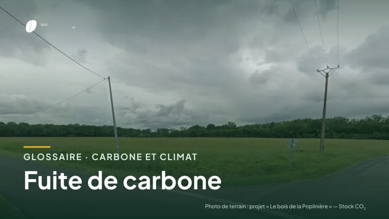 Illustration de la famille « Carbone et climat » du glossaire Stock CO₂, sur une photo de terrain : parcelle du projet « Le bois de la Poplinière »