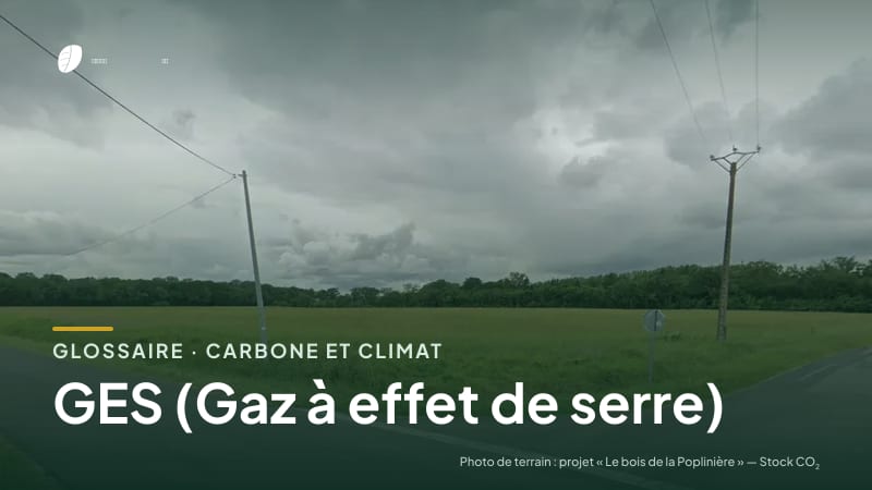 Illustration de la famille « Carbone et climat » du glossaire Stock CO₂, sur une photo de terrain : parcelle du projet « Le bois de la Poplinière »