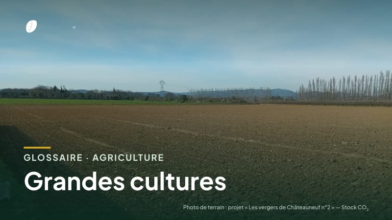 Illustration de la famille « Agriculture » du glossaire Stock CO₂, sur une photo de terrain : parcelle du projet « Les vergers de Châteauneuf n°2 »
