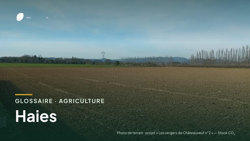 Illustration de la famille « Agriculture » du glossaire Stock CO₂, sur une photo de terrain : parcelle du projet « Les vergers de Châteauneuf n°2 »