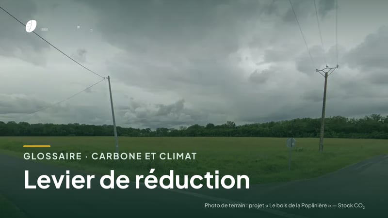 Illustration de la famille « Carbone et climat » du glossaire Stock CO₂, sur une photo de terrain : parcelle du projet « Le bois de la Poplinière »