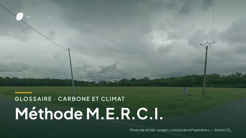 Illustration de la famille « Carbone et climat » du glossaire Stock CO₂, sur une photo de terrain : parcelle du projet « Le bois de la Poplinière »