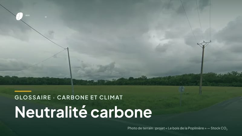 Illustration de la famille « Carbone et climat » du glossaire Stock CO₂, sur une photo de terrain : parcelle du projet « Le bois de la Poplinière »