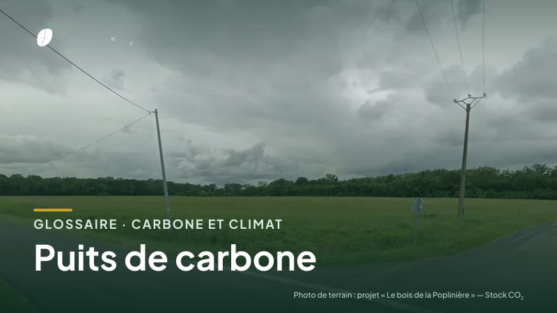 Illustration de la famille « Carbone et climat » du glossaire Stock CO₂, sur une photo de terrain : parcelle du projet « Le bois de la Poplinière »