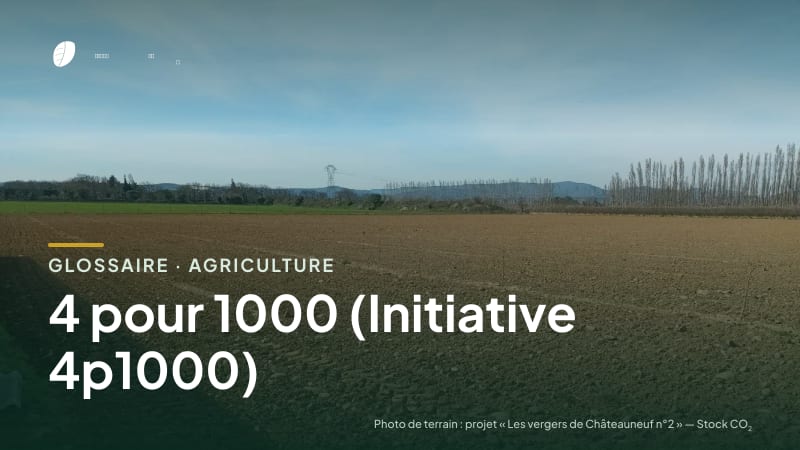 Illustration de la famille « Agriculture » du glossaire Stock CO₂, sur une photo de terrain : parcelle du projet « Les vergers de Châteauneuf n°2 »