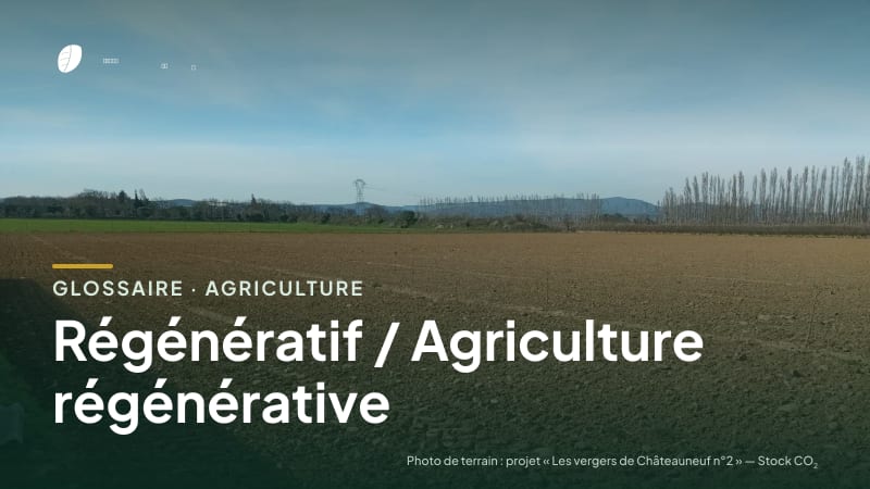 Illustration de la famille « Agriculture » du glossaire Stock CO₂, sur une photo de terrain : parcelle du projet « Les vergers de Châteauneuf n°2 »