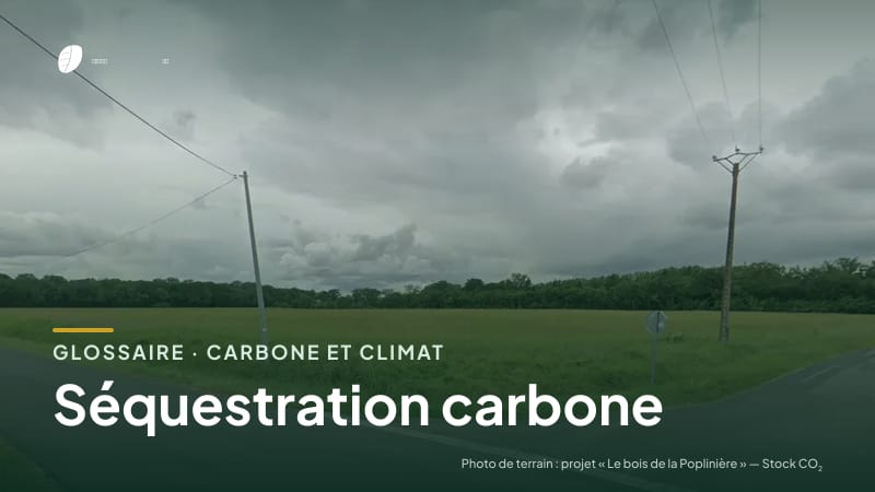 Illustration de la famille « Carbone et climat » du glossaire Stock CO₂, sur une photo de terrain : parcelle du projet « Le bois de la Poplinière »