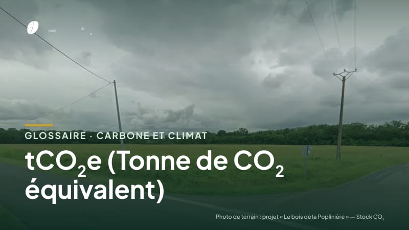 Illustration de la famille « Carbone et climat » du glossaire Stock CO₂, sur une photo de terrain : parcelle du projet « Le bois de la Poplinière »
